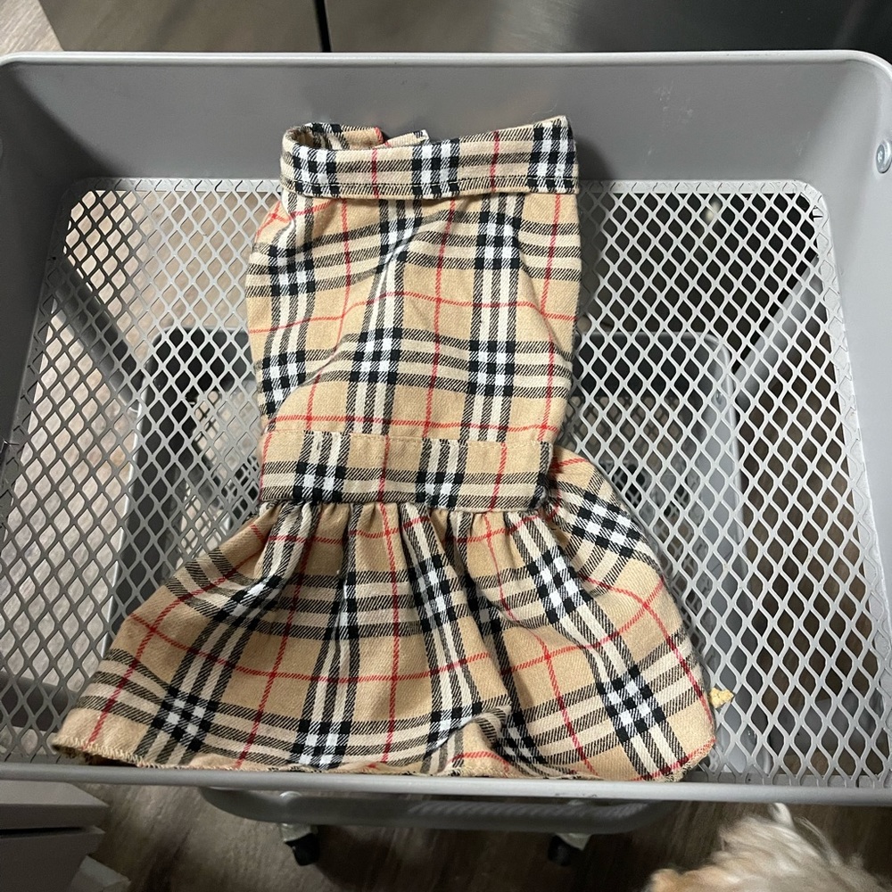 Dog clothing